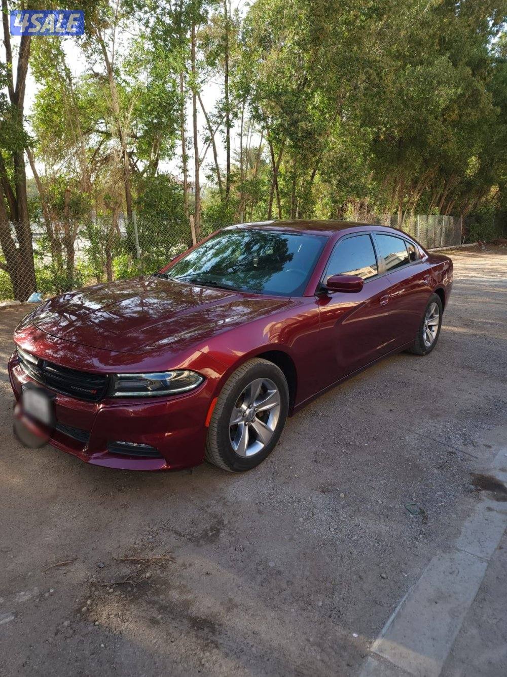 سيارة دودج شارجر 2017 SXT0