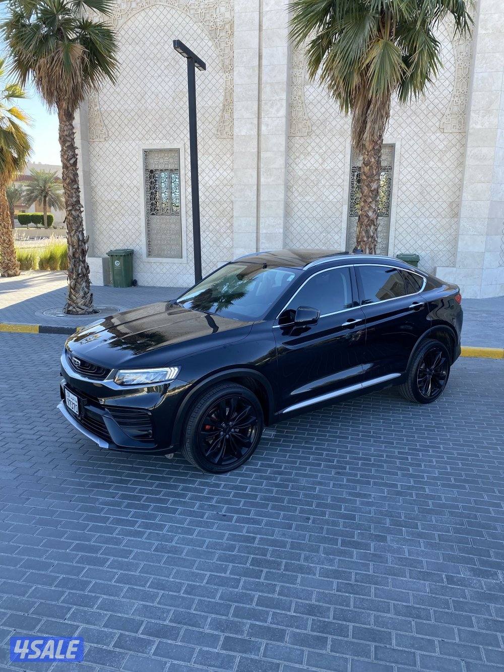 صبغ الوكالة _ الدرجه الاولى _ plus6