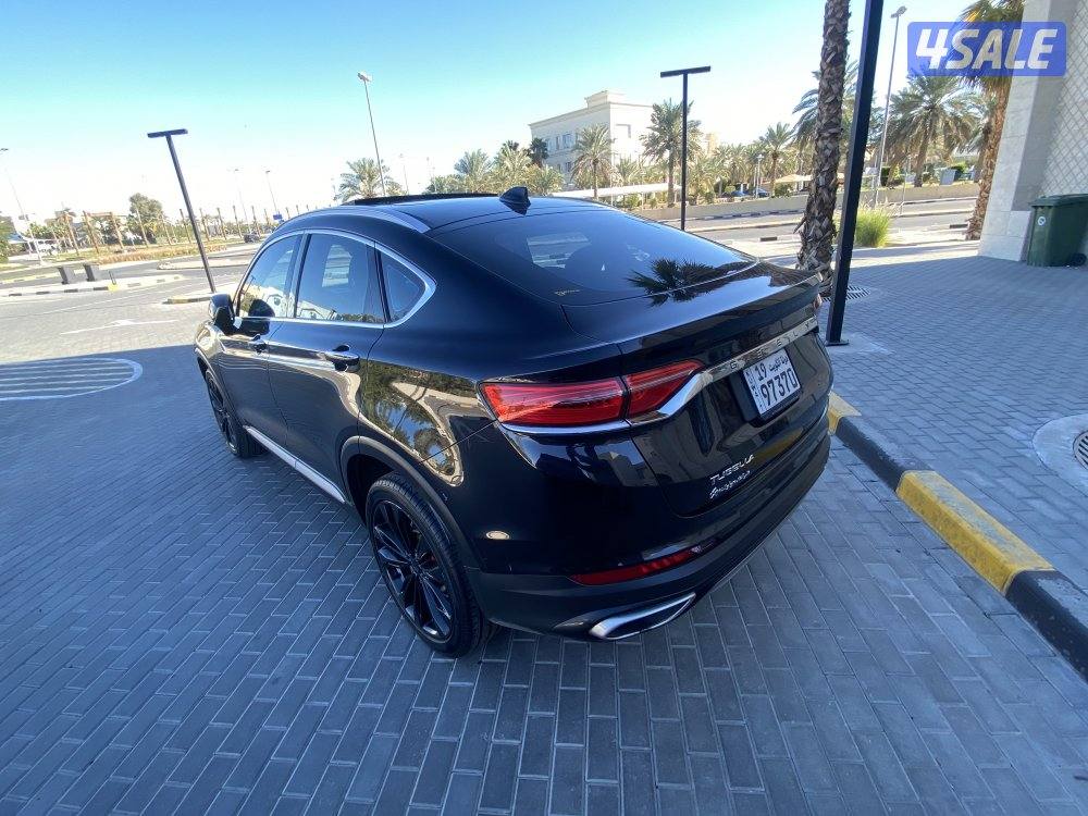 صبغ الوكالة _ الدرجه الاولى _ plus12