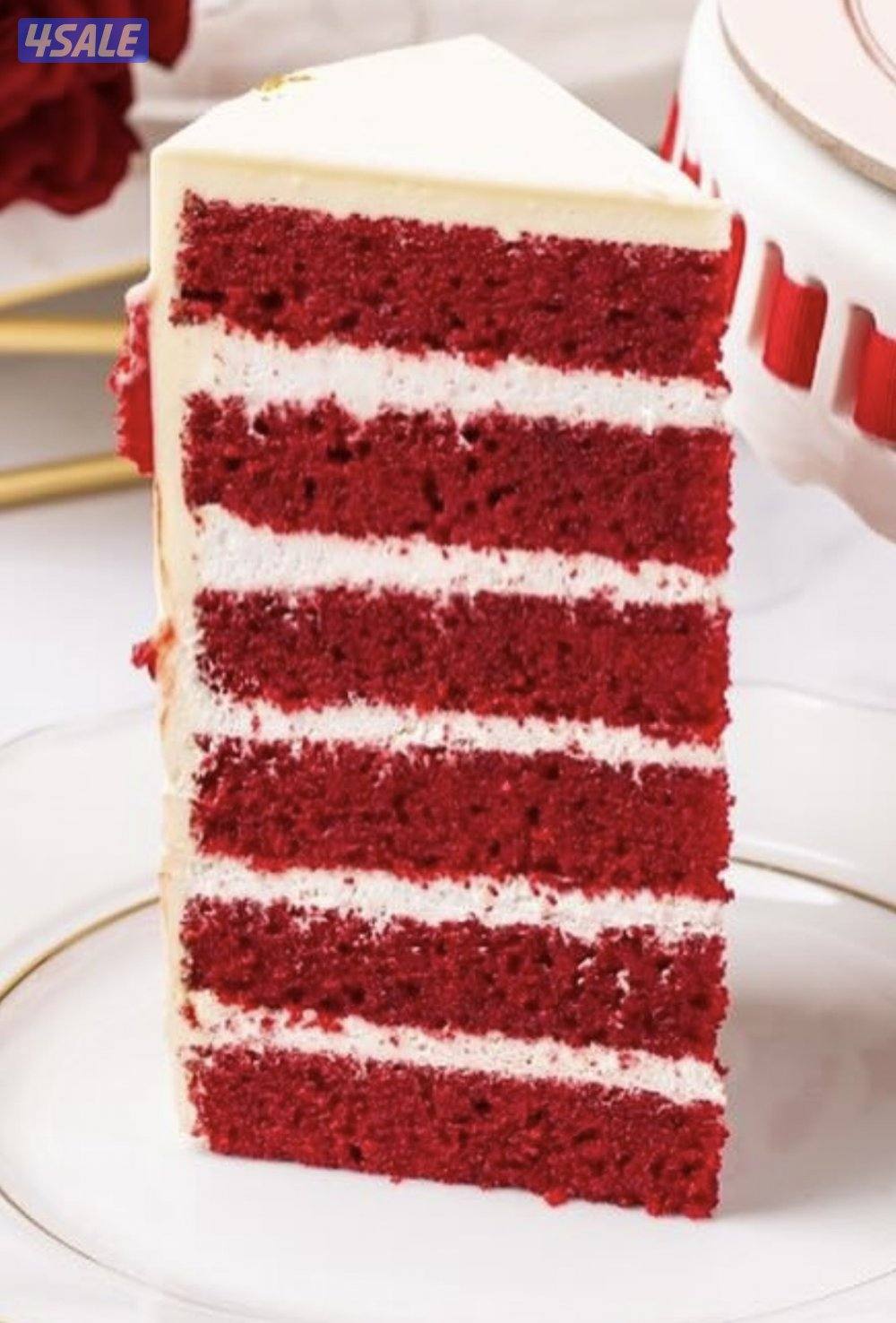 بيع مطبخ مركزي مميز جدا و تأسس من 20193