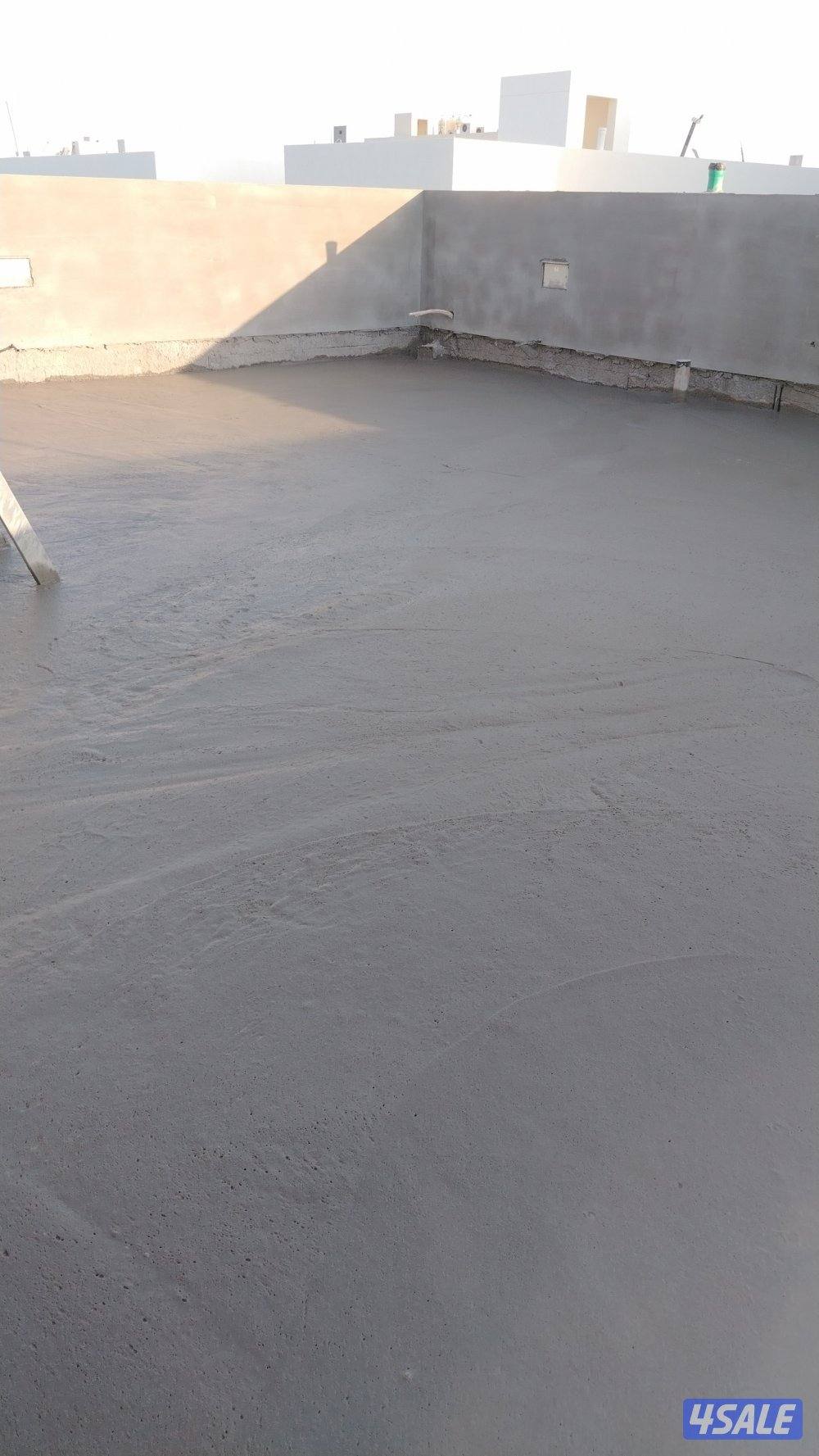 العمدة ربيع0