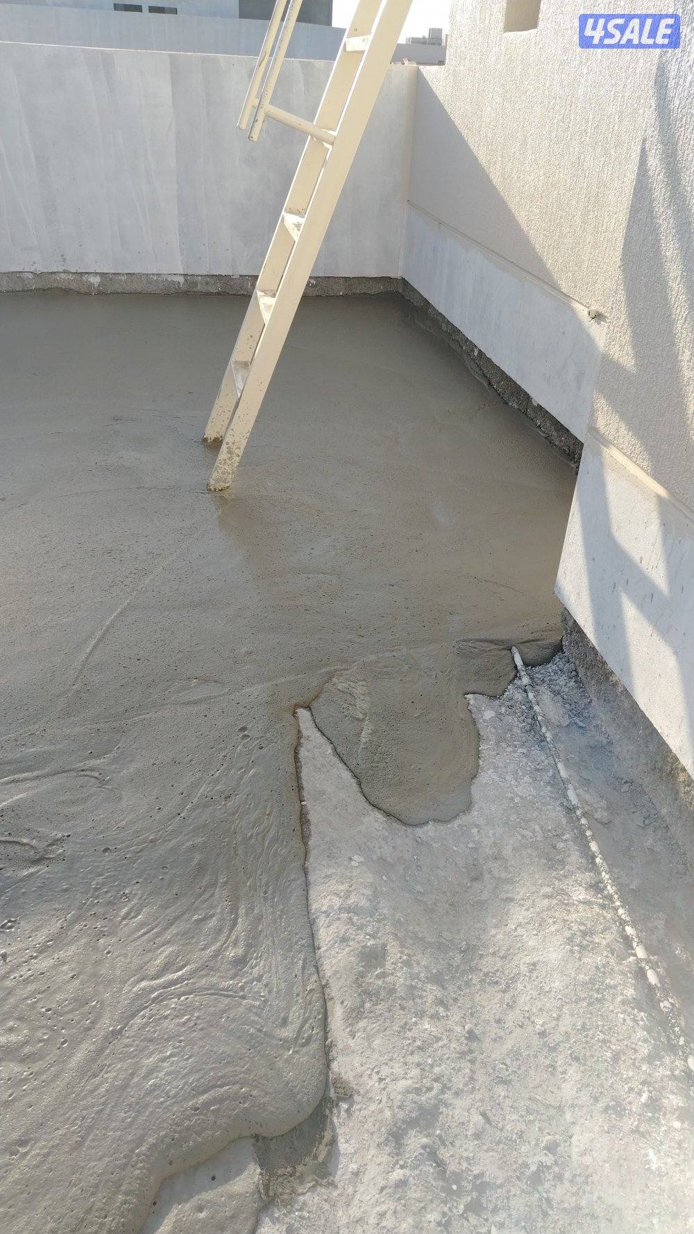 العمدة ربيع1