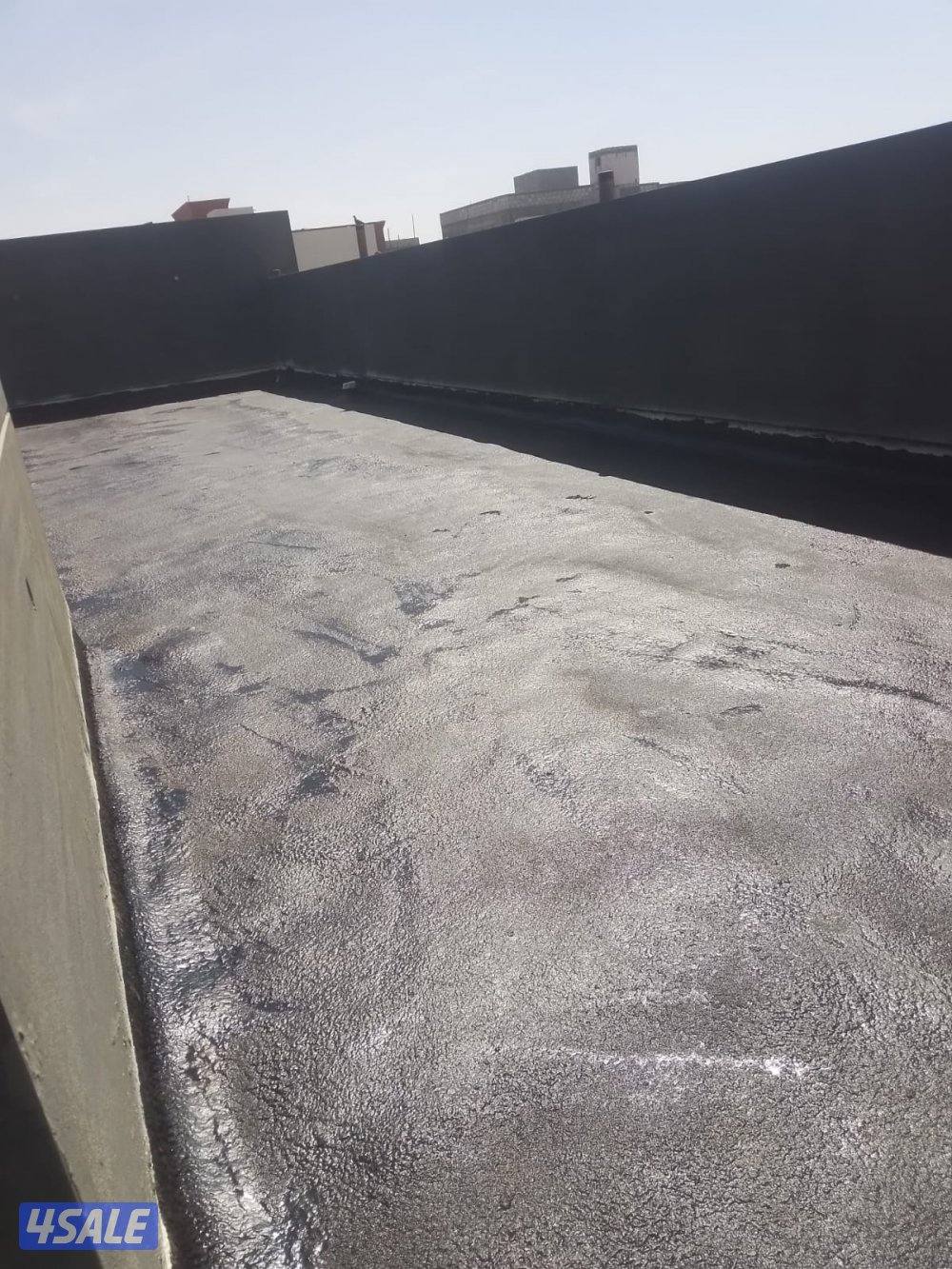 العمدة ربيع9