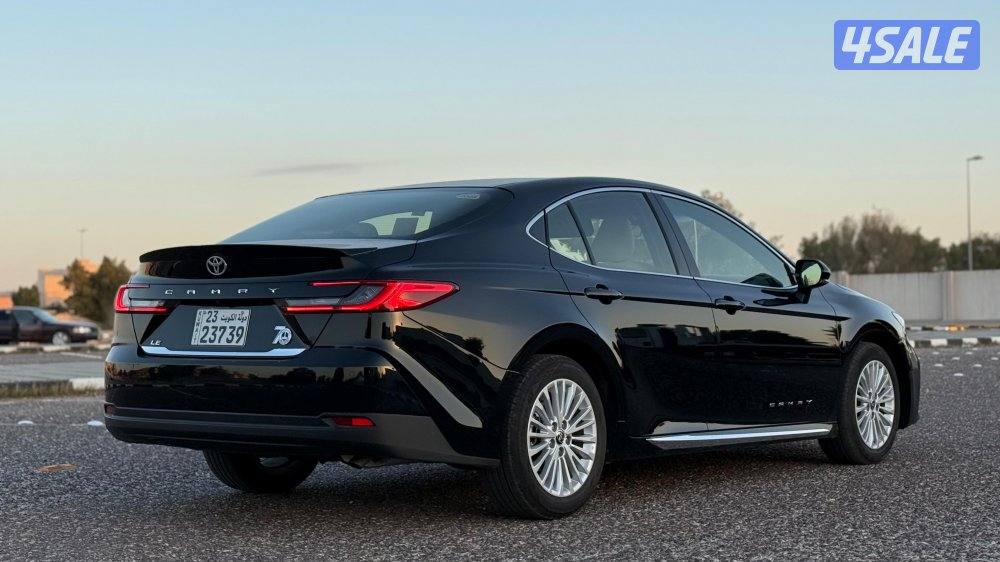 خيطان قطعة 82