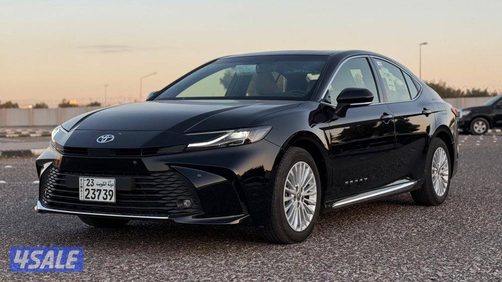 خيطان قطعة 83