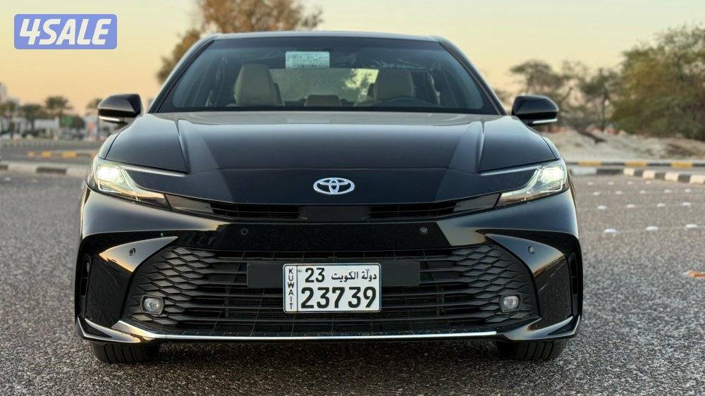 خيطان قطعة 84