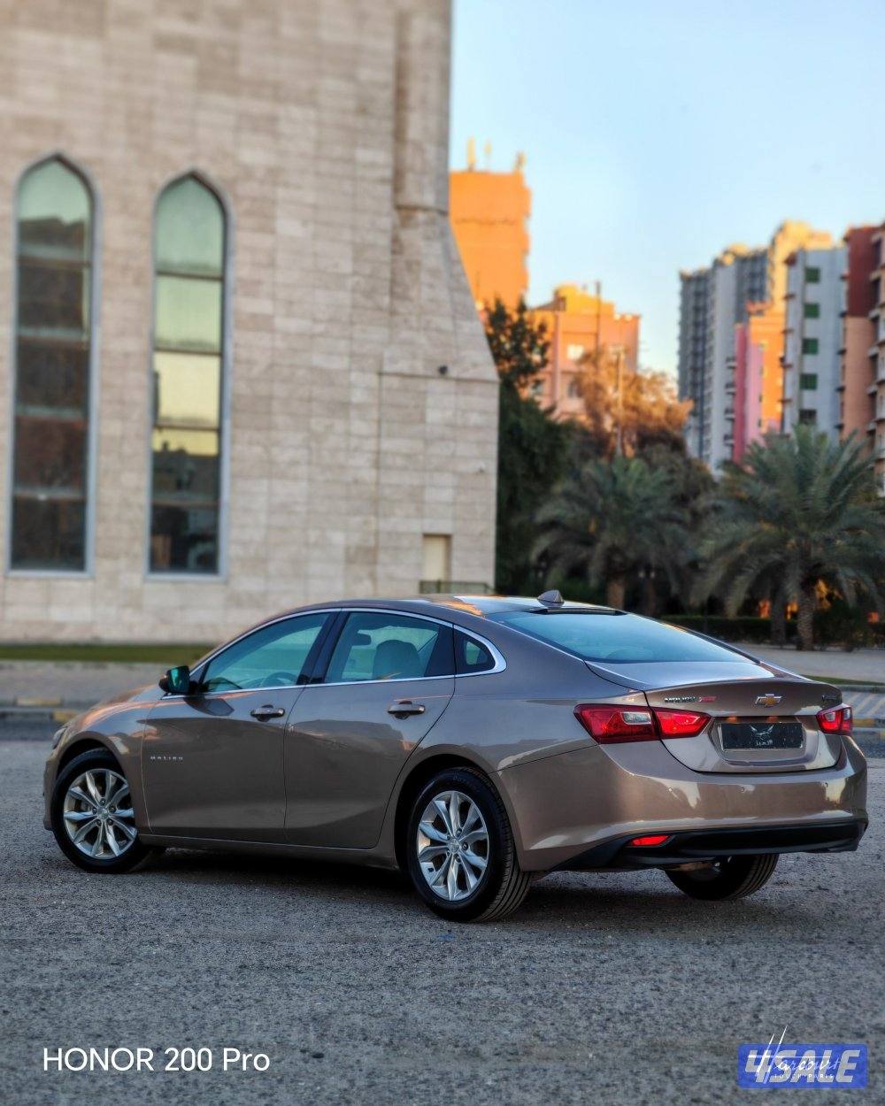 مليبو 2019شرط لفحص ماشي ١٣٥الف6