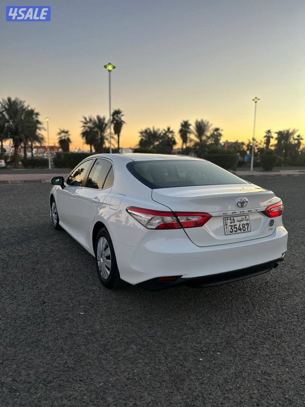 كامري 2019 صبغ الوكاله ما عدا قطعه3