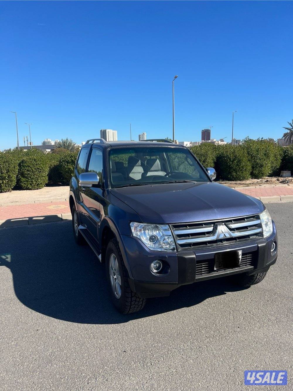 باجيرو باب واحد زاهب للبر1