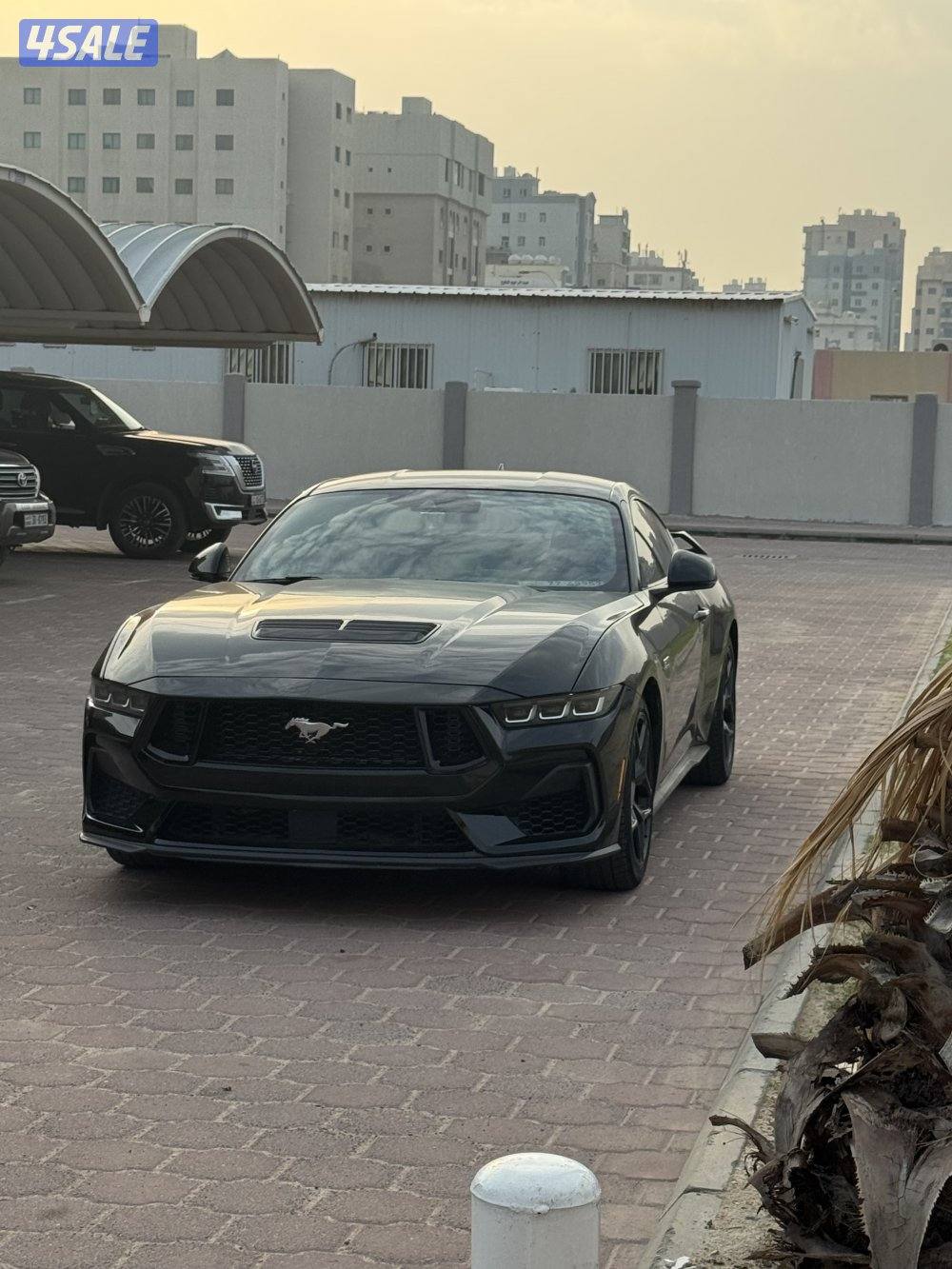 موستنق ٢٠٢٤يوجد ملاحظات مدقر يمين2