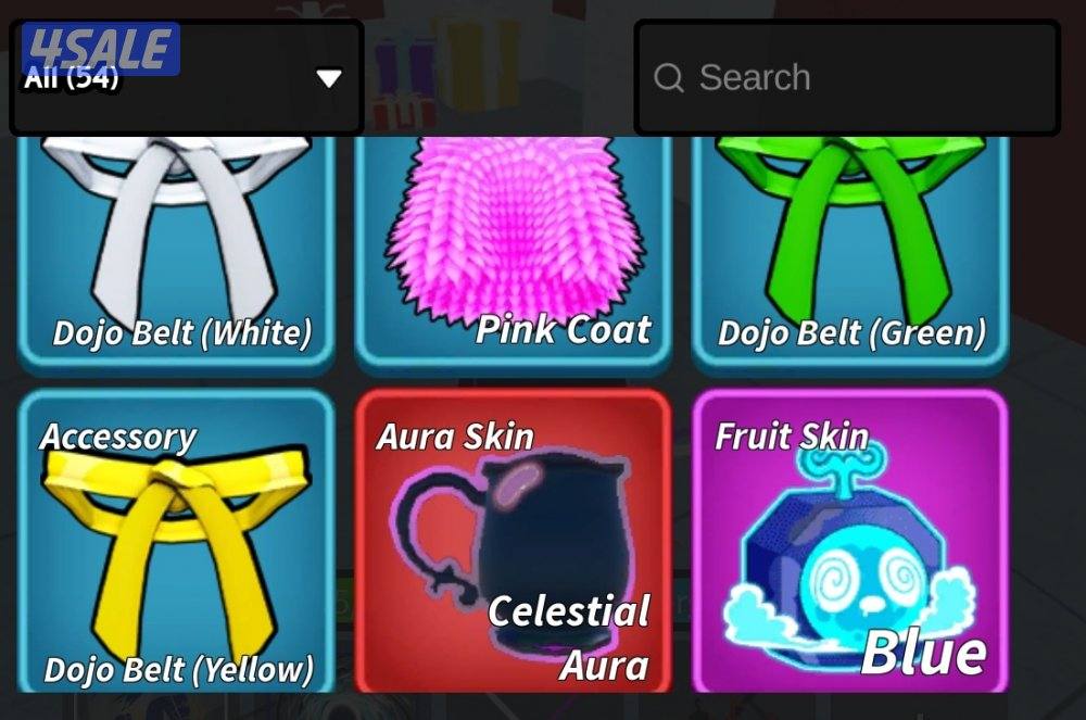 حساب بلوكس فروتس لفل 2800, كل شي عن الحساب بالصور14