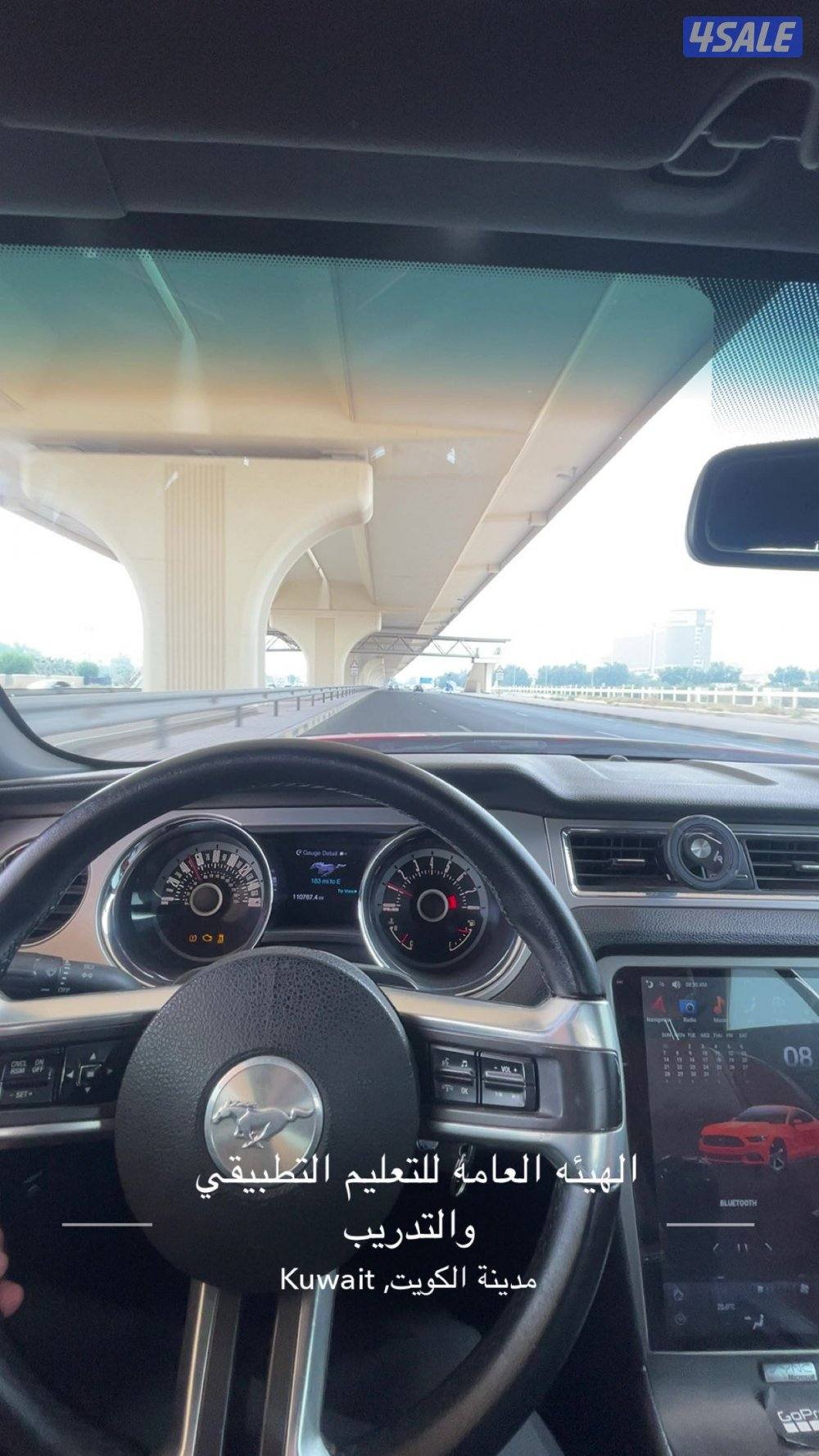 موستنق ٢٠١٣4