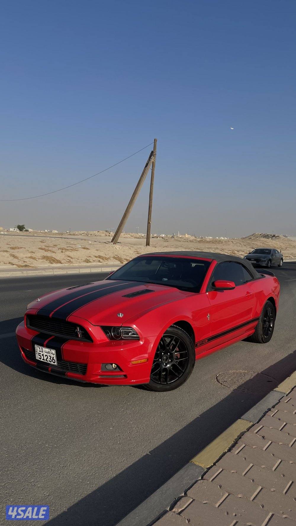 موستنق ٢٠١٣5