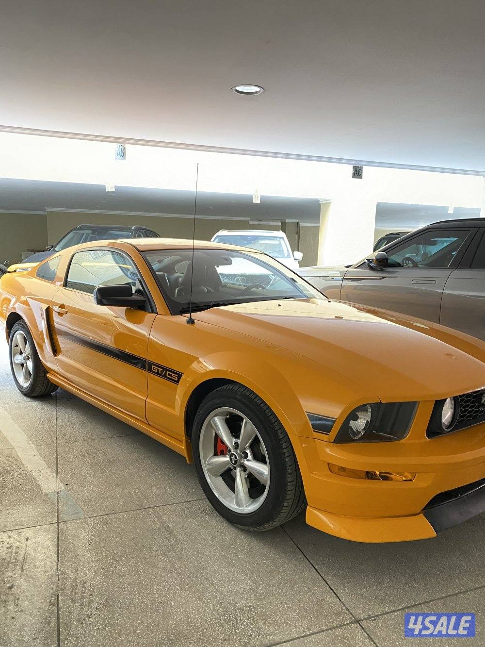 سبيشل كلفونيا ٢٠٠٨ اصلي0