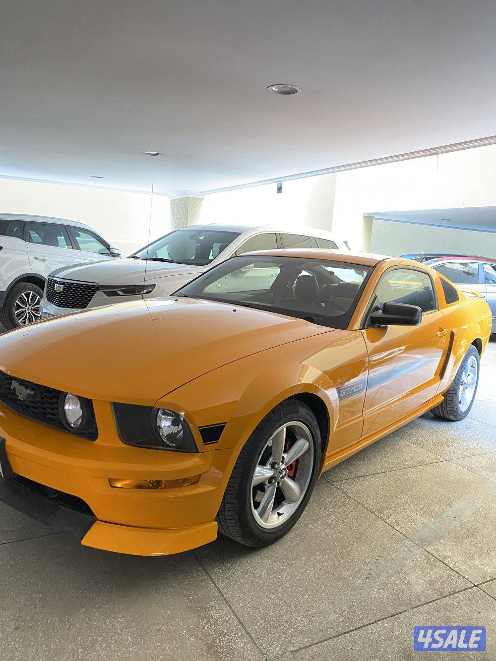 سبيشل كلفونيا ٢٠٠٨ اصلي1