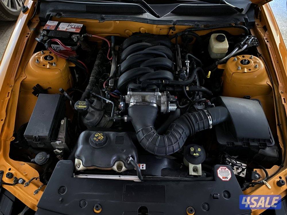 سبيشل كلفونيا ٢٠٠٨ اصلي7