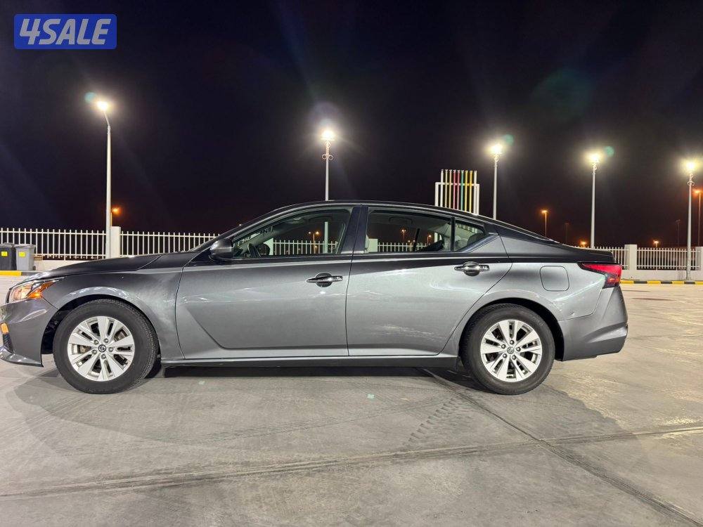 التيما ٢٠١٩5