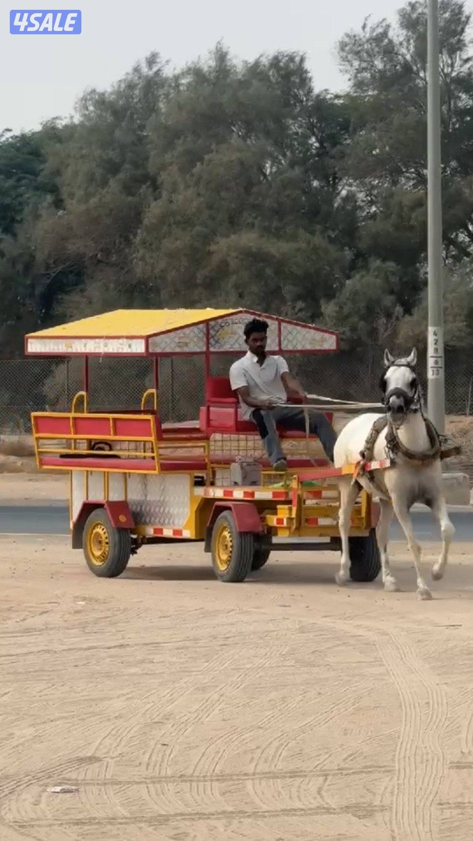 حنطور للأجار الى مزرعتك0