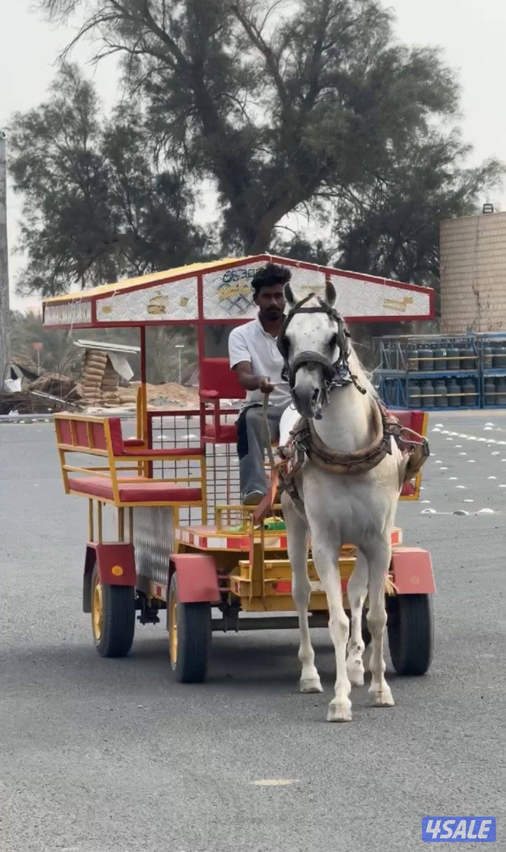 حنطور للأجار الى مزرعتك2