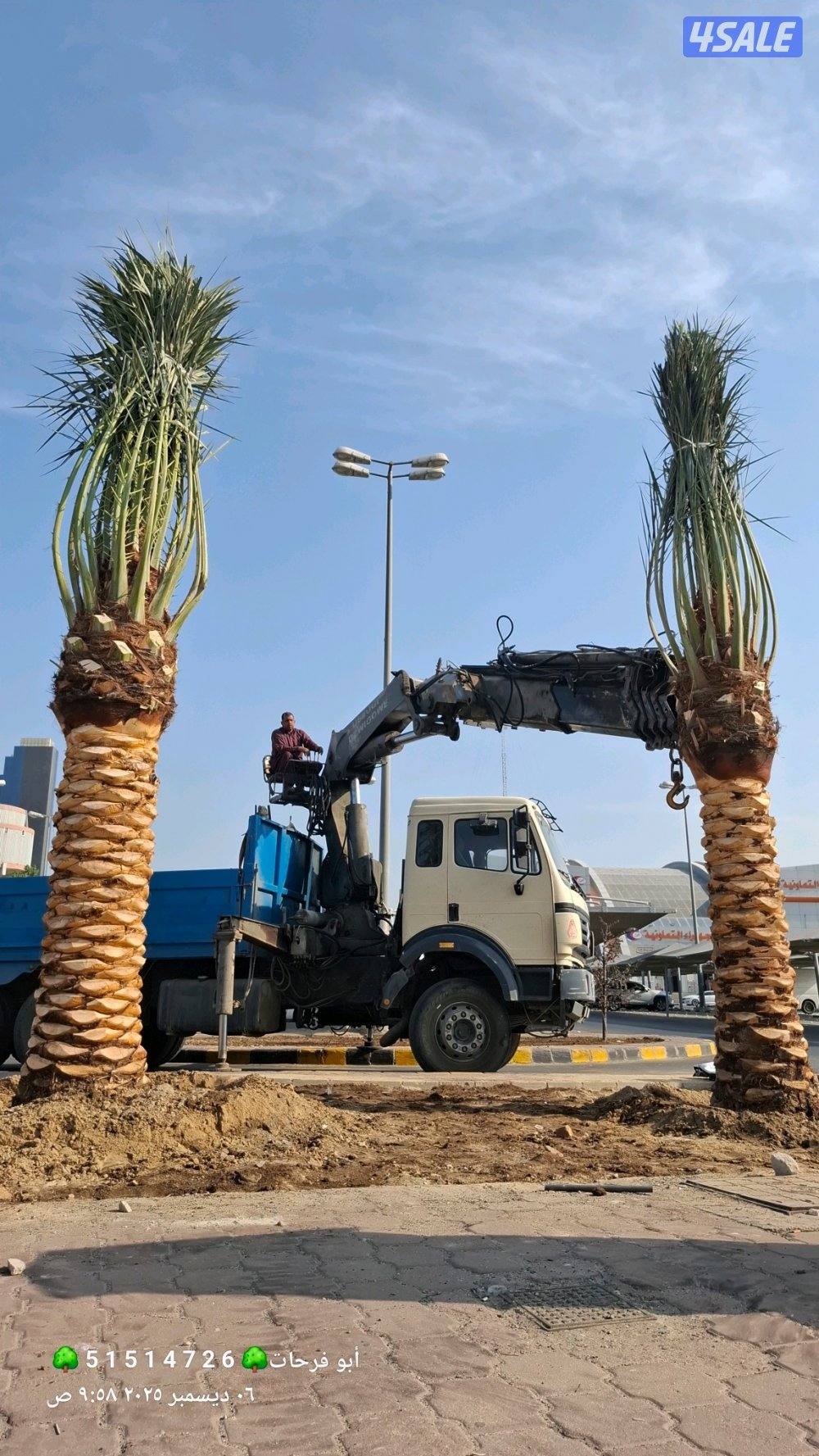 تنسيق حدائق خدمه زراعيه Garden landscaping, planting roses and trees8