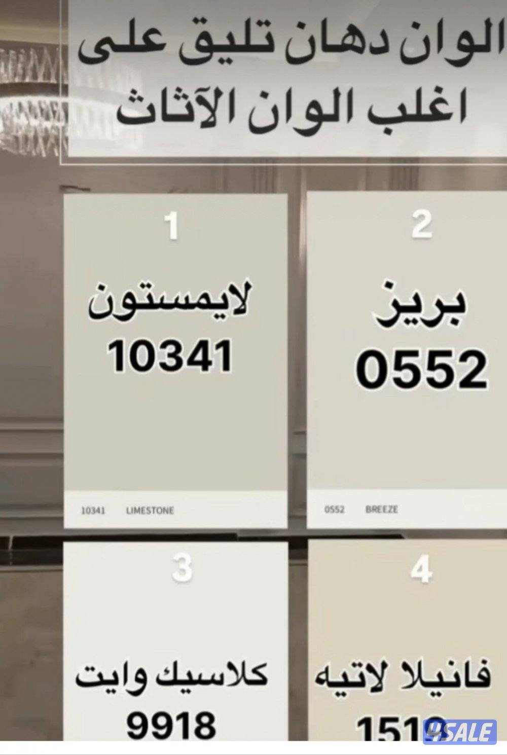 ديكورات واصباغ5