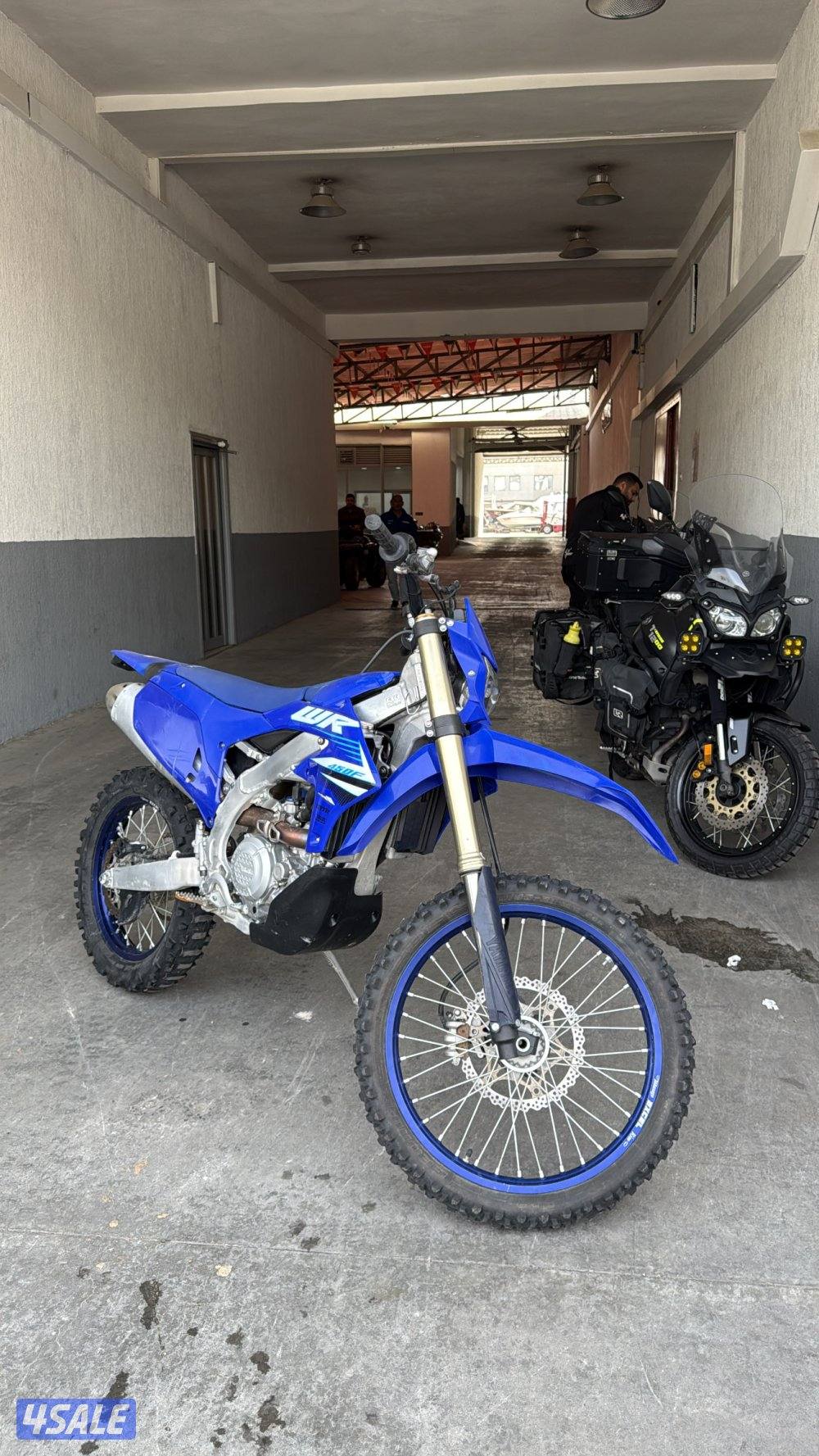 WR450FX 20252