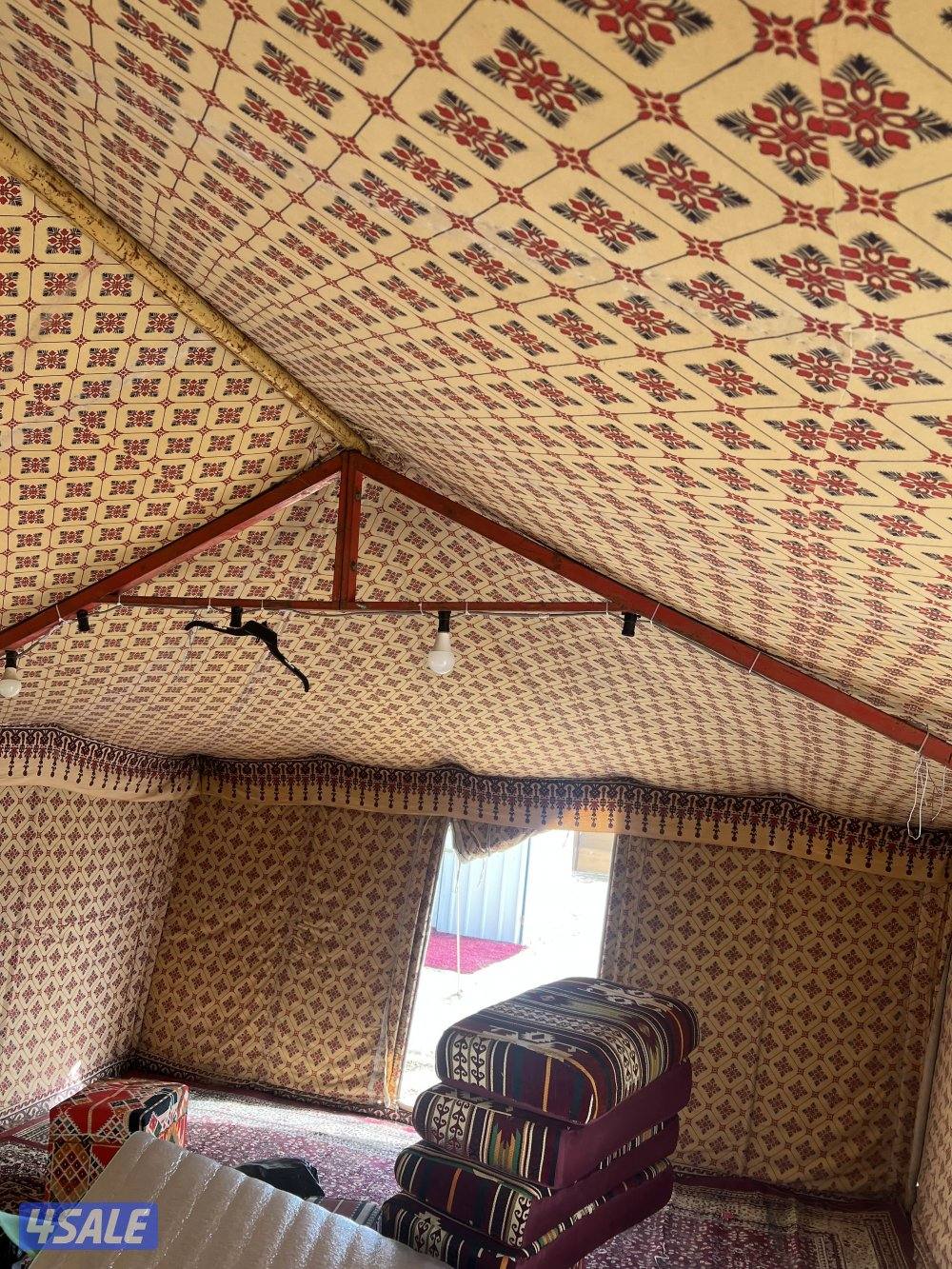 خيمتين ونطاطية2