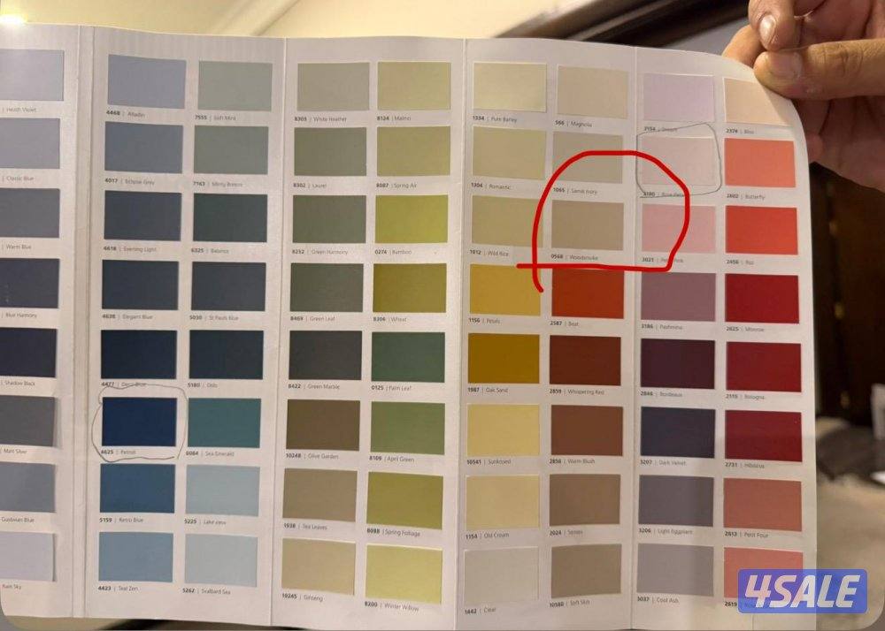 اصباغ وديكورات باكستاني 🇰🇼3