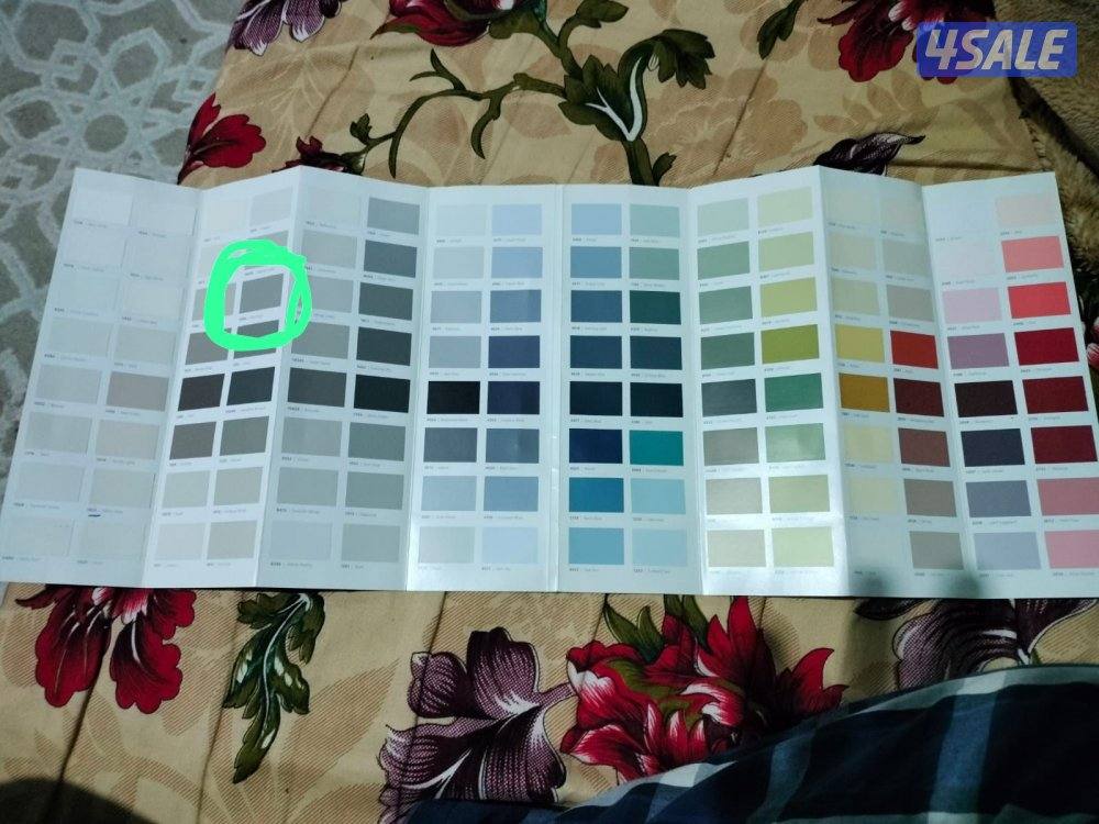 اصباغ وديكورات باكستاني 🇰🇼9