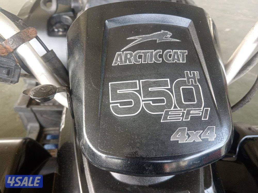 قروزلي ار تى كات أمريكي اصلي1