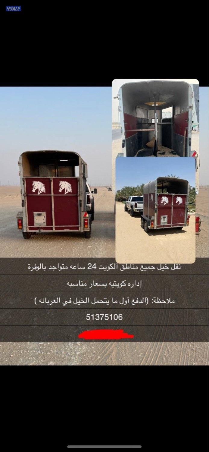 نقل خيل متواجد بالوفرة0