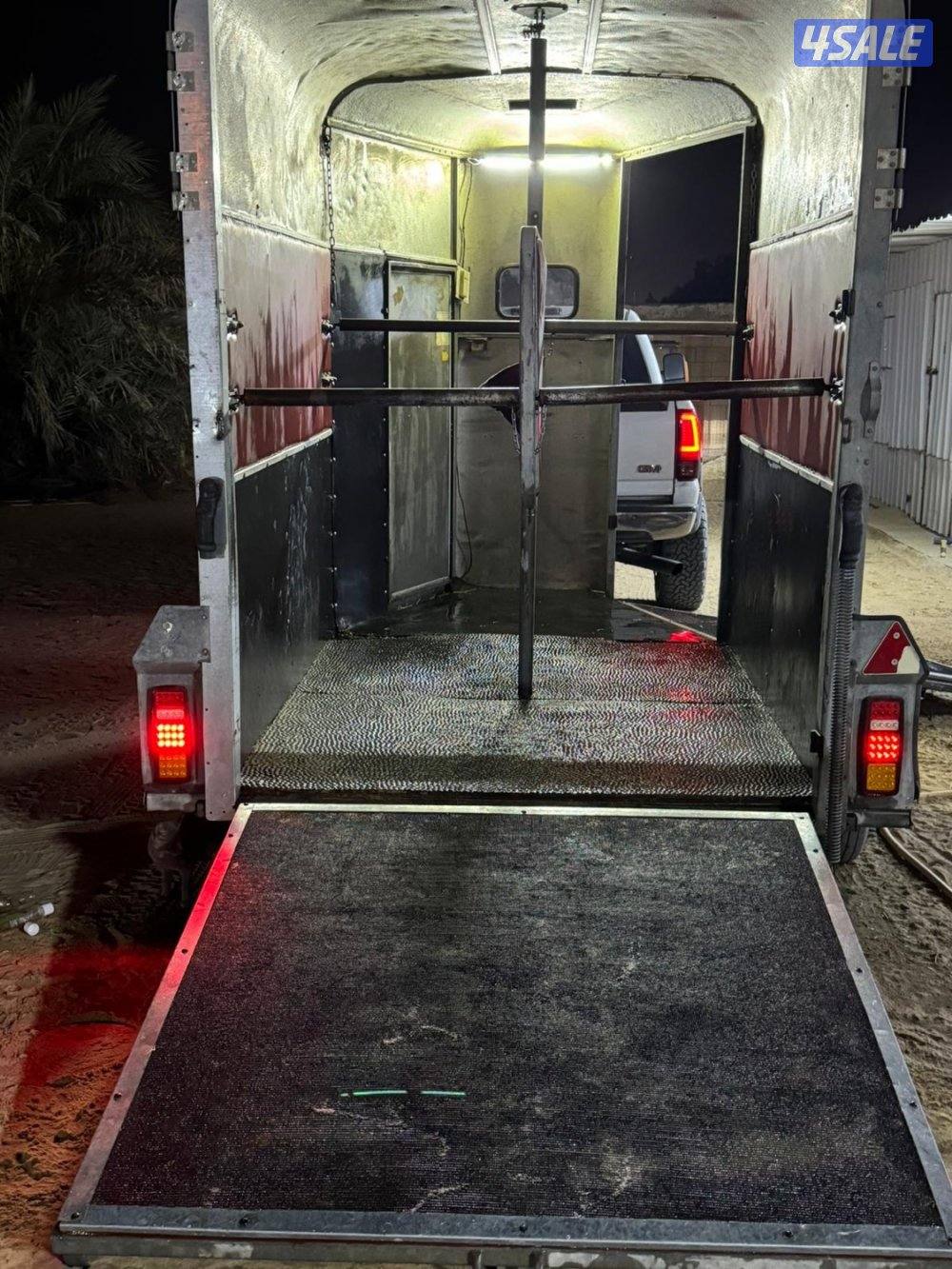 نقل خيل متواجد بالوفرة2