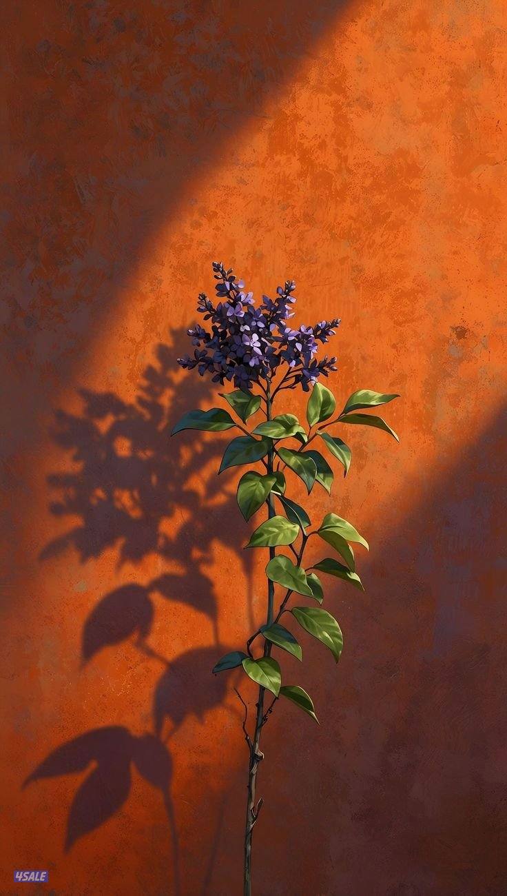 شاب بدون أبحث عن فرصة عمل، ملتزم ومنظم، وقابل للتعلم والتطوير0