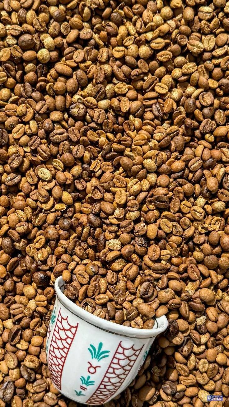 شاب بدون أبحث عن فرصة عمل، ملتزم ومنظم، وقابل للتعلم والتطوير2