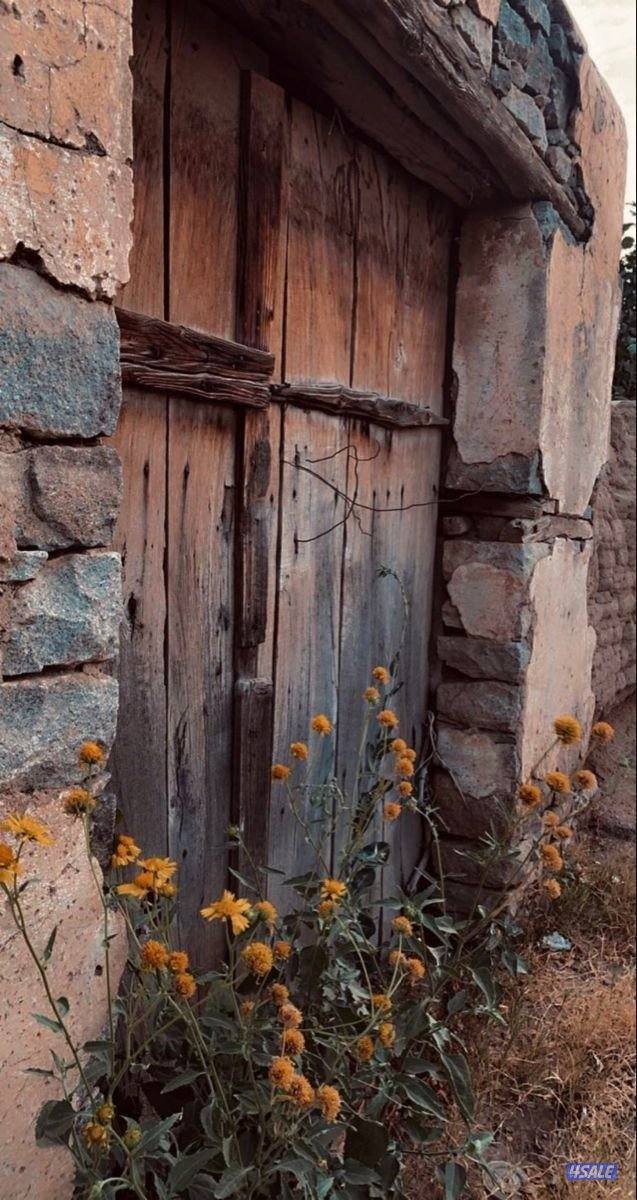 شاب بدون أبحث عن فرصة عمل، ملتزم ومنظم، وقابل للتعلم والتطوير4