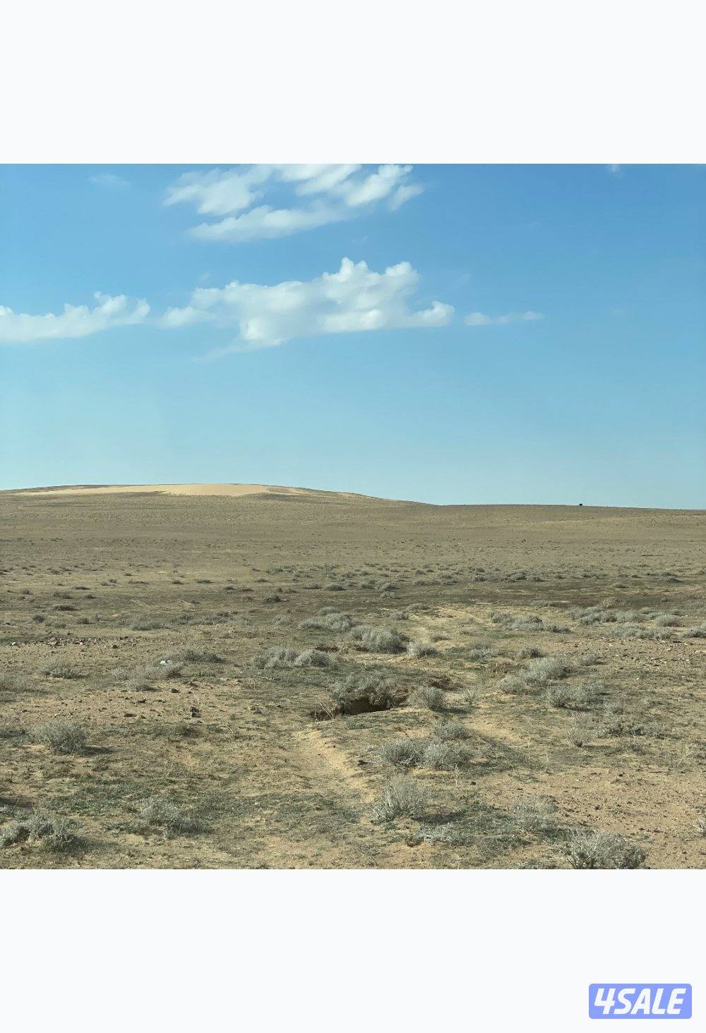 مطلوب جاخور ب الوفره للإيجار مده طويله0