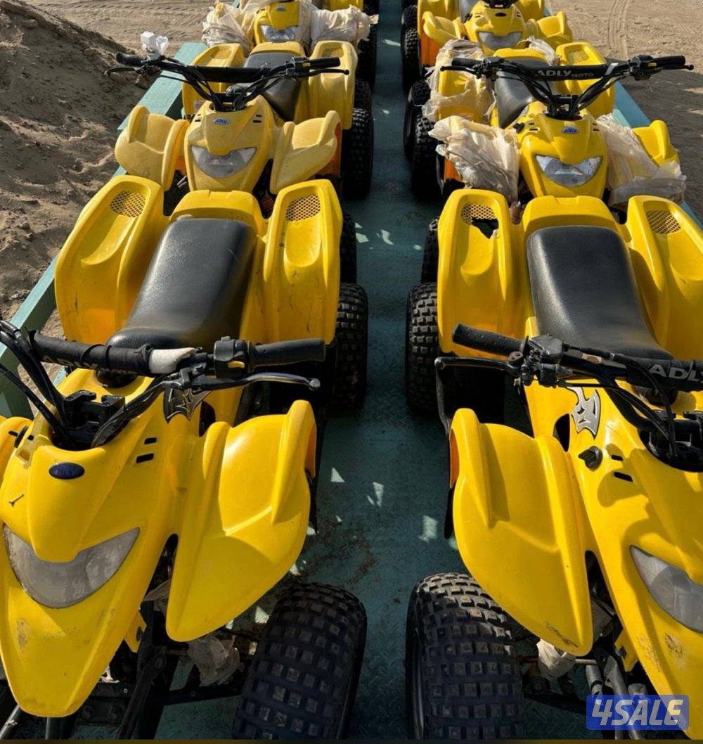 كبد تاجير بقيات0