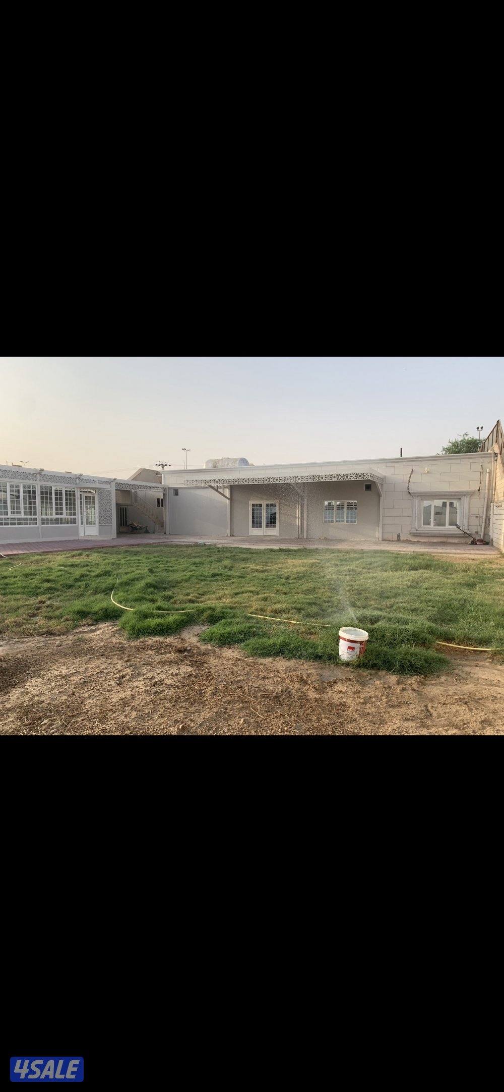 قسم كبير لاهل الحلال شهري كبد0