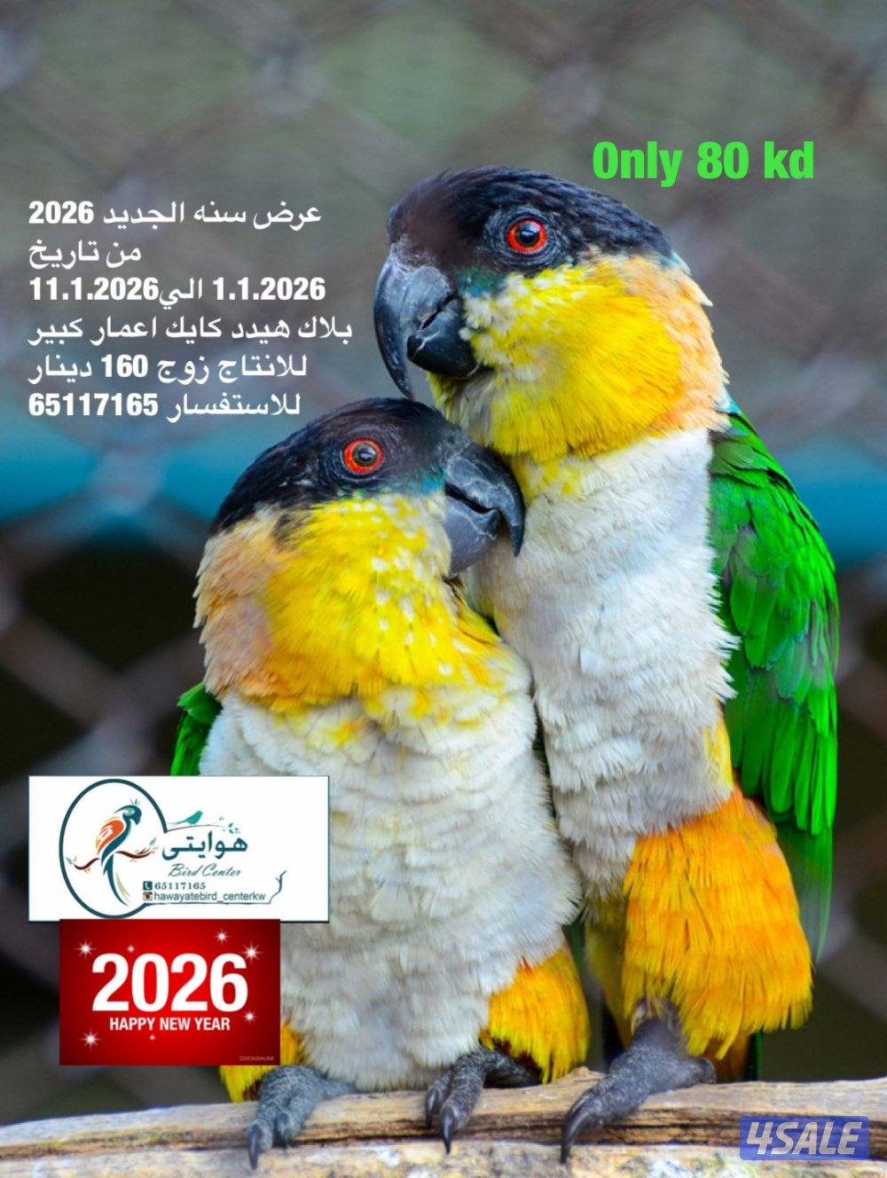 امازون، فينش1