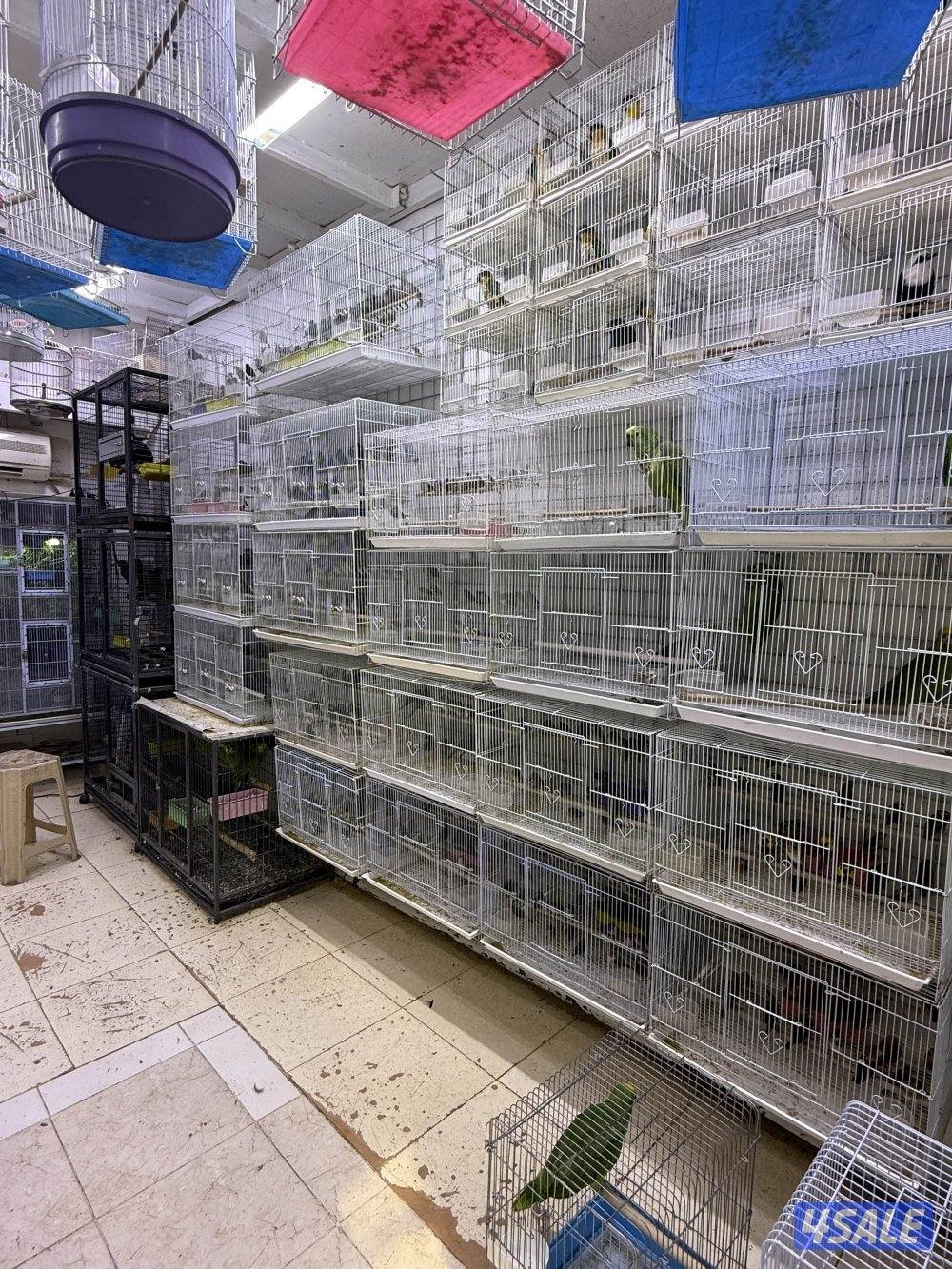 امازون، فينش7