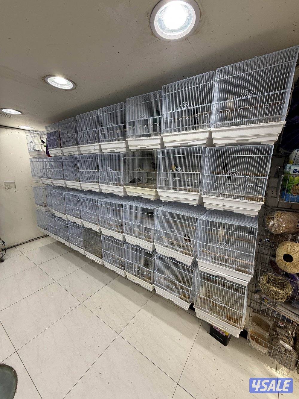 امازون، فينش8