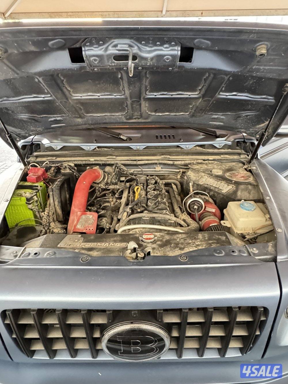 جمني بورابوس ( تيربو)5