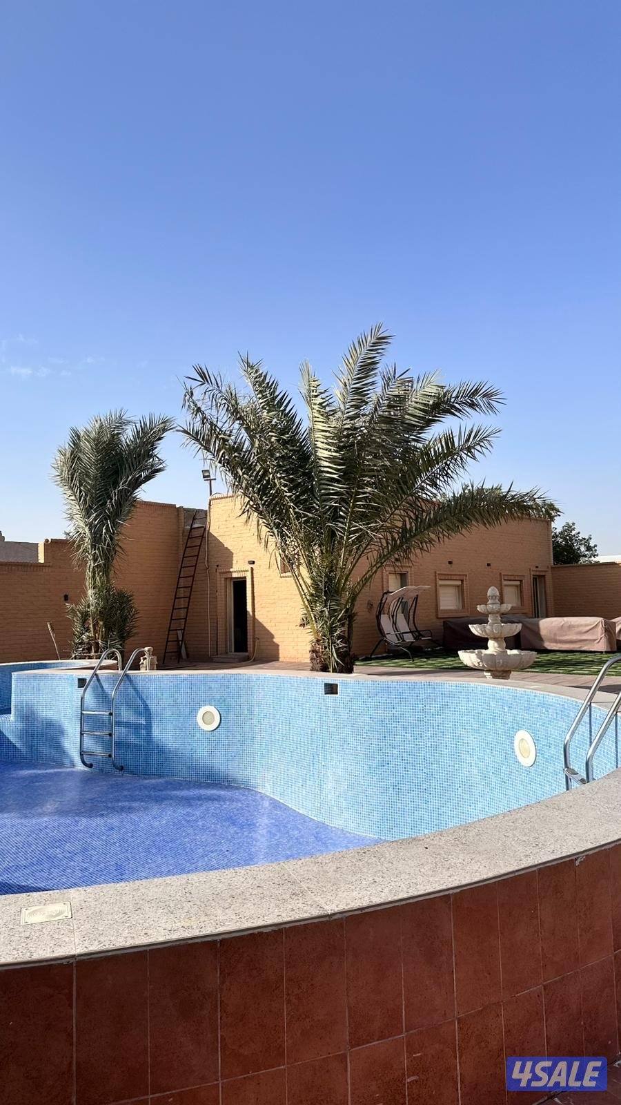 للبيع جاخور في كبد مساحته 1250 م قابل للتفاوض البسيط1