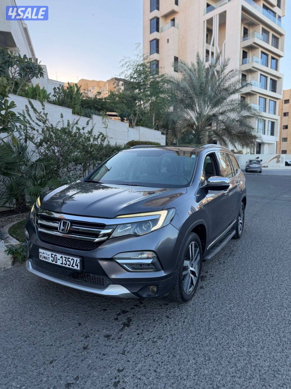 بايلوت تورنج صبغ وكالة بحالة الوكالة0