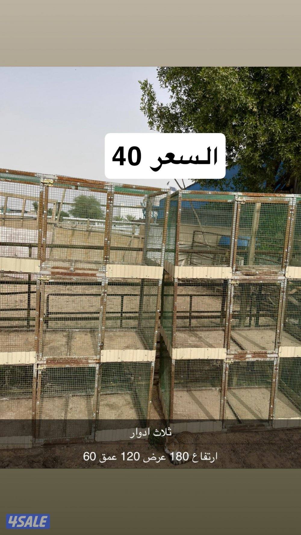 للبيع اقفاص1