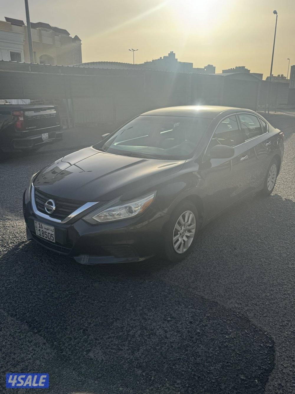 للبيع التيما1