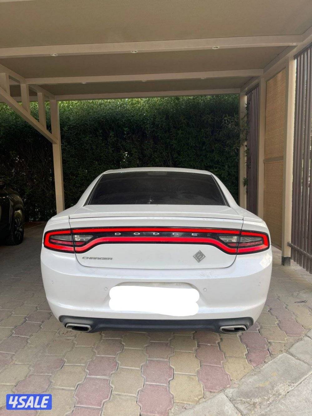 تشارجر صبغ الوكالة1