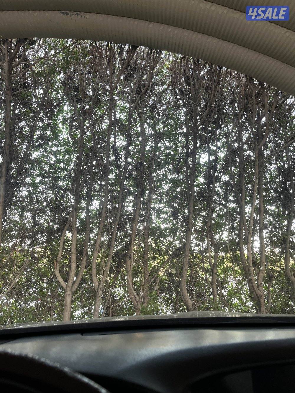 صالون الجهرا الصناعيه0