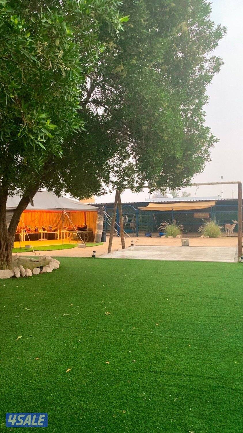 استراحة چيلان للعائلات9