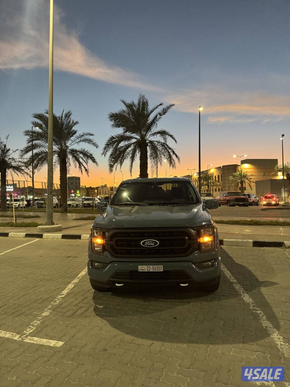 Ford F150 Model 20230